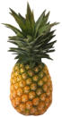 Pineapple Fondant Flavor