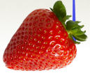 Strawberry Fondant Flavor