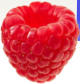 Raspberry Fondant Flavor