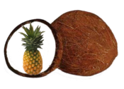 Pineapple Coconut Fondant Flavor