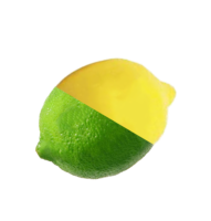 Lemon Lime Fondant Flavor