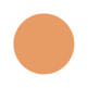 Cantaloupe Color