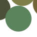 Sage Green Color