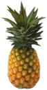 Pineapple Fondant Flavor
