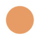 Cantaloupe Color