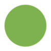 Dark Lime Green Color