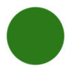 Shamrock Green Color