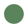 Sage Green Color