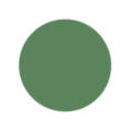 Sage Green Color