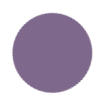 Purple Color