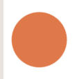 Pumpkin Color