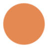 Light Orange Color