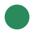 Mint Green Color