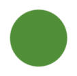 Light Green Color