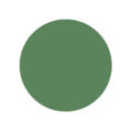 Sage Green Color