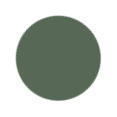 CAMO Green Color