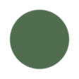 Enchanted Green Color