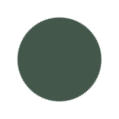 Dark Green Color