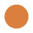 Terracotta Orange Color
