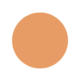 Cantaloupe Color