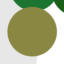 Guacamole Color