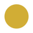 Mustard Yellow Color