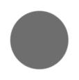 Pewter Color