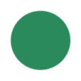 Mint Green Color