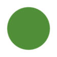 Light Green Color