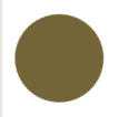Moss Green Color