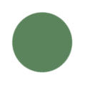 Sage Green Color