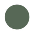 CAMO Green Color