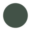 Jungle Green Color