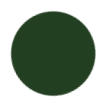 Forest Green Color