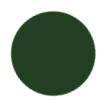 Forest Green Color