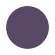 Purple Pansy Color