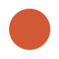 Burnt Orange Color