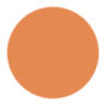 Light Orange Color