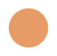 Cantaloupe Color