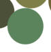 Sage Green Color