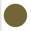 Moss Green Color