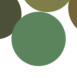 Sage Green Color