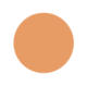 Cantaloupe Color