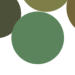 Sage Green Color