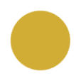 Mustard Yellow Color