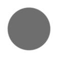 Pewter Color