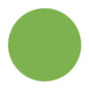 Dark Lime Green Color