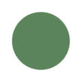 Sage Green Color