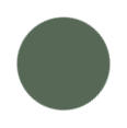 CAMO Green Color