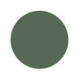 CAMO Green Color